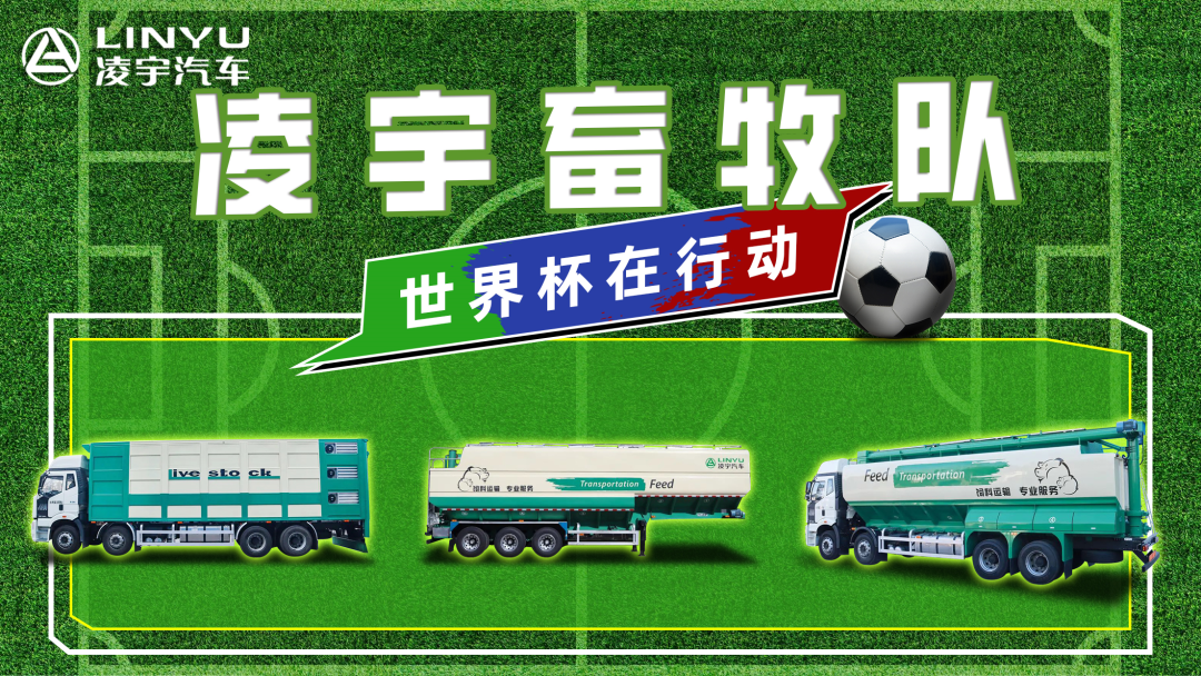 奪冠世界杯！你注意到這支球隊了嗎？